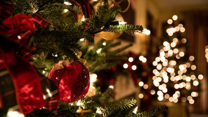 Julgran Ljus